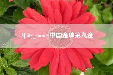 公主岭中国金牌第九金