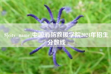 公主岭中国消防救援学院2024年招生分数线