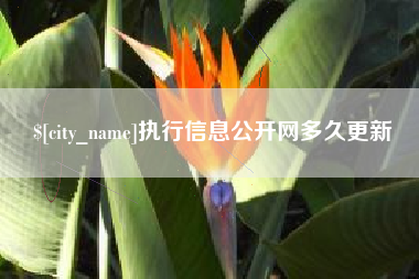 公主岭执行信息公开网多久更新