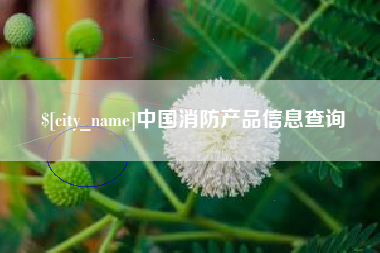 公主岭中国消防产品信息查询