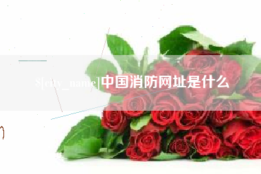 公主岭中国消防网址是什么