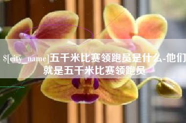 公主岭五千米比赛领跑员是什么-他们就是五千米比赛领跑员