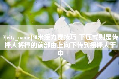 公主岭60米接力赛技巧-下压式则是传棒人将棒的前部由上向下传到接棒人手中
