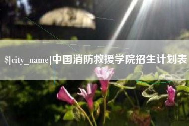 公主岭中国消防救援学院招生计划表