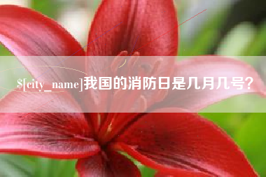 公主岭我国的消防日是几月几号？
