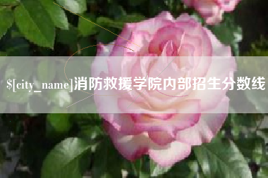 公主岭消防救援学院内部招生分数线