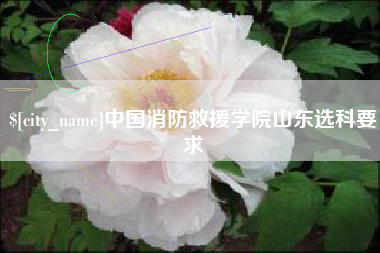 公主岭中国消防救援学院山东选科要求