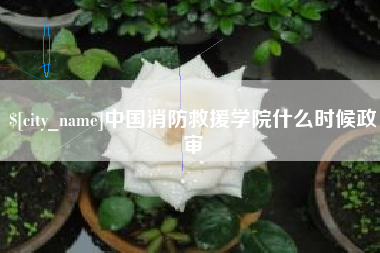 公主岭中国消防救援学院什么时候政审