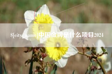 公主岭中国金牌是什么项目2024