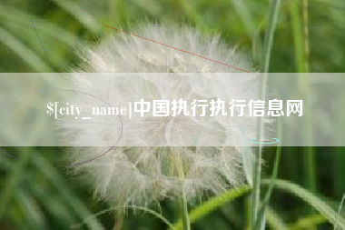 公主岭中国执行执行信息网
