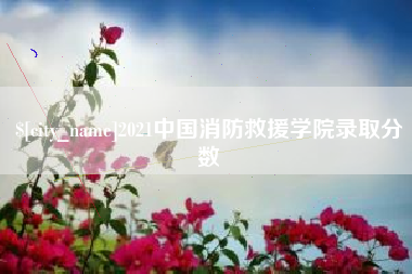 公主岭2021中国消防救援学院录取分数