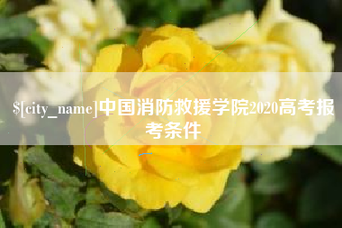 公主岭中国消防救援学院2020高考报考条件