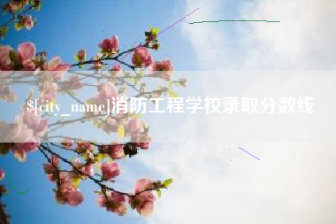 公主岭消防工程学校录取分数线