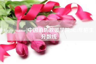公主岭中国消防救援学院2021年招生分数线