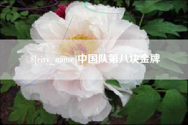公主岭中国队第八块金牌