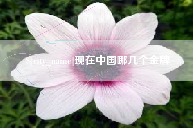 公主岭现在中国哪几个金牌