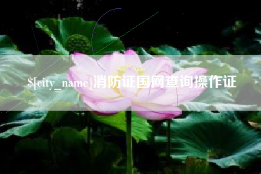 公主岭消防证国网查询操作证