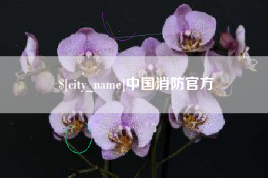 公主岭中国消防官方