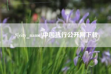 公主岭中国执行公开网下载