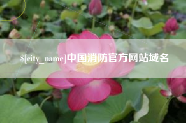 公主岭中国消防官方网站域名