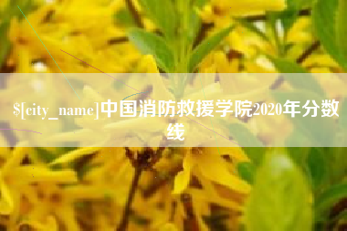 公主岭中国消防救援学院2020年分数线 公主岭中国消防救援学院2020年分数线