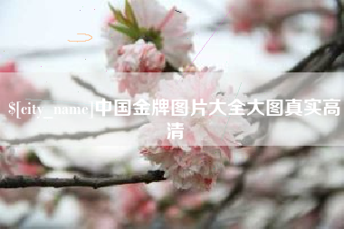 公主岭中国金牌图片大全大图真实高清
