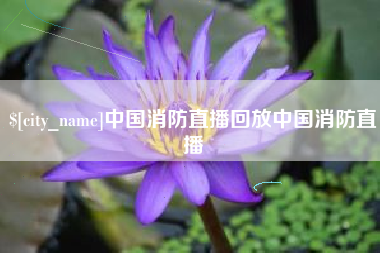 公主岭中国消防直播回放中国消防直播
