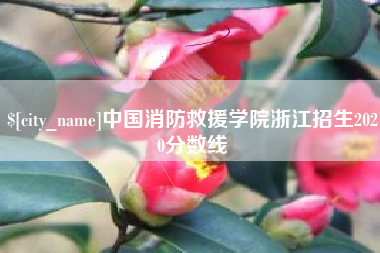 公主岭中国消防救援学院浙江招生2020分数线