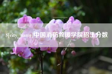 公主岭中国消防救援学院招生分数