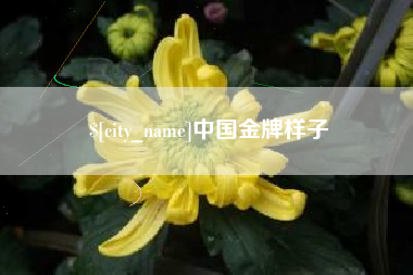 公主岭中国金牌样子