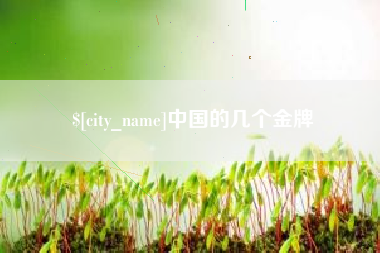 公主岭中国的几个金牌