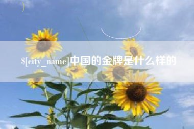 公主岭中国的金牌是什么样的