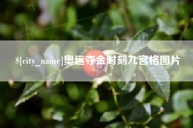 公主岭奥运夺金时刻九宫格图片