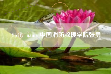 公主岭中国消防救援学院张勇