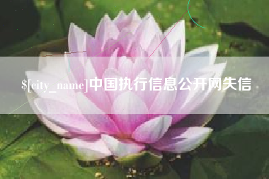 公主岭中国执行信息公开网失信