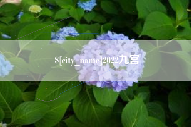 公主岭2022九宫