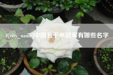 公主岭中国五千米冠军有哪些名字