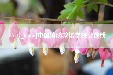 公主岭中国消防救援学院分数线