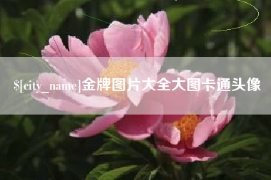 公主岭金牌图片大全大图卡通头像