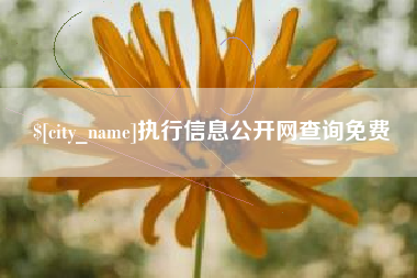 公主岭执行信息公开网查询免费