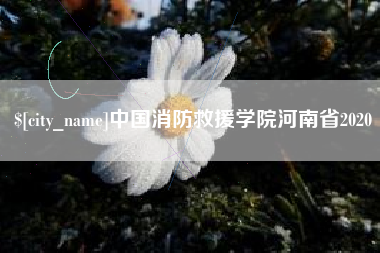 公主岭中国消防救援学院河南省2020